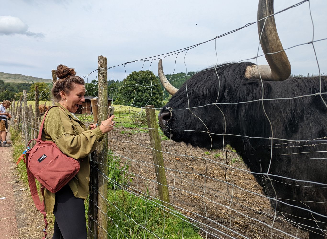 Hairy Coo - MacBackpackers Tour
